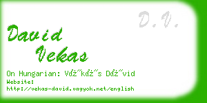 david vekas business card